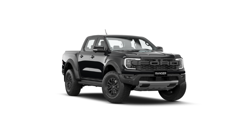 RANGER RAPTOR